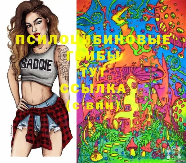 герыч Заводоуковск